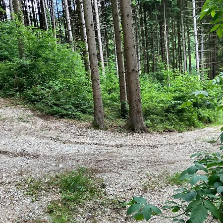 Charming 18th Century Wooden Chalé Rohrbach an der Lafnitz